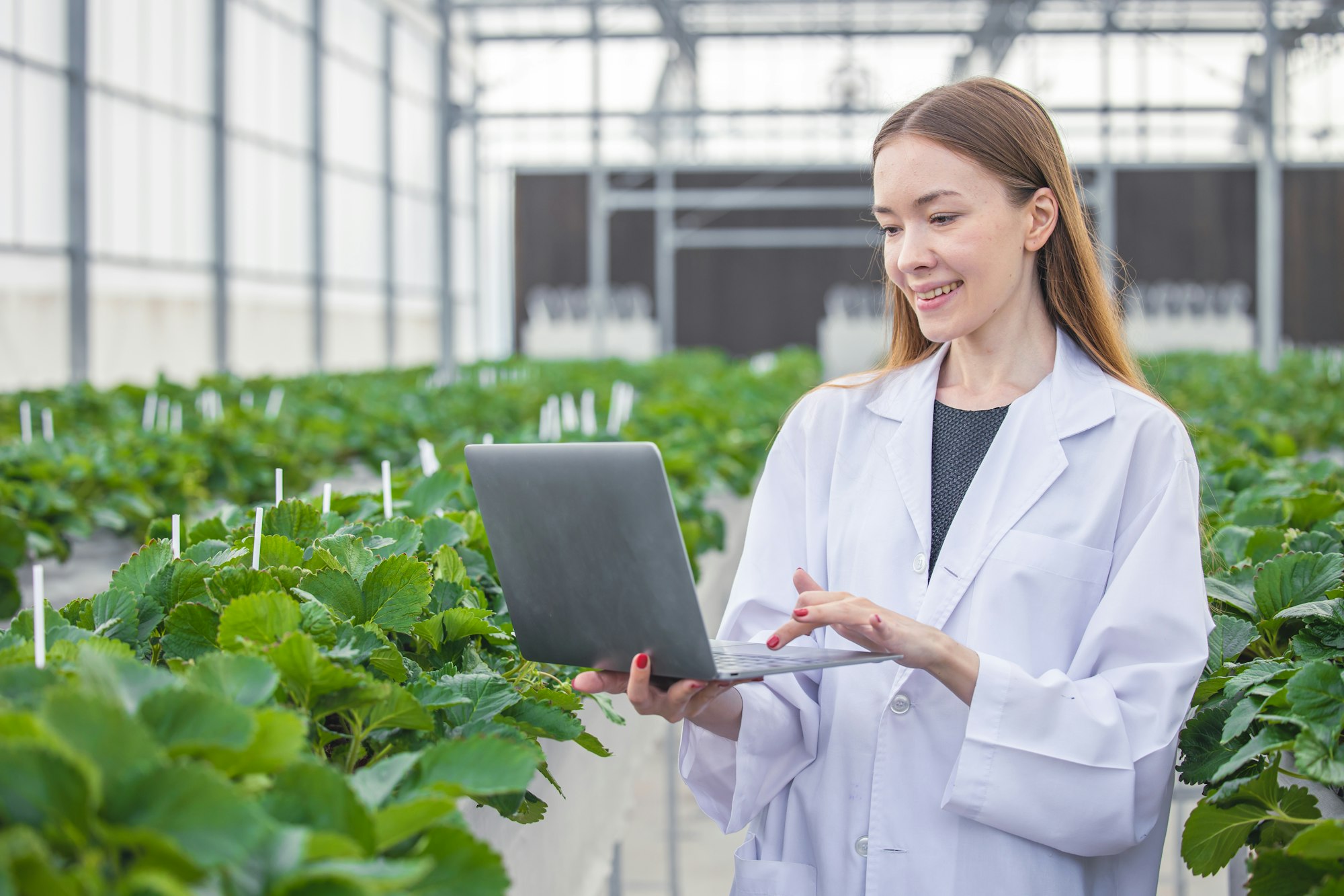 Agriculture Scientist work collecting record plant farm